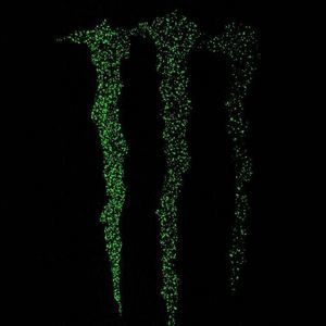 Meet your Posher, Pauly